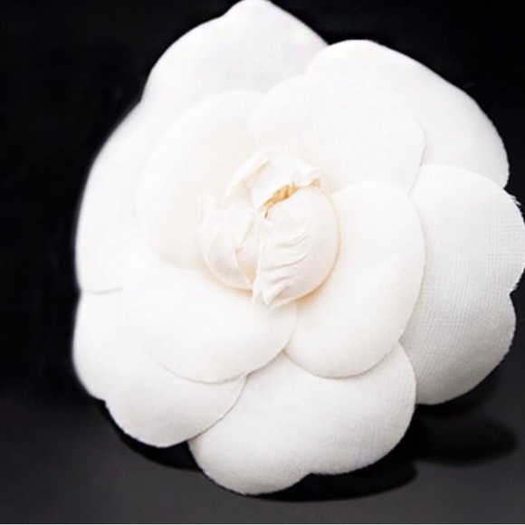 White Camellia - Medium Size - Picture 4 of 6